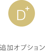 追加オプション