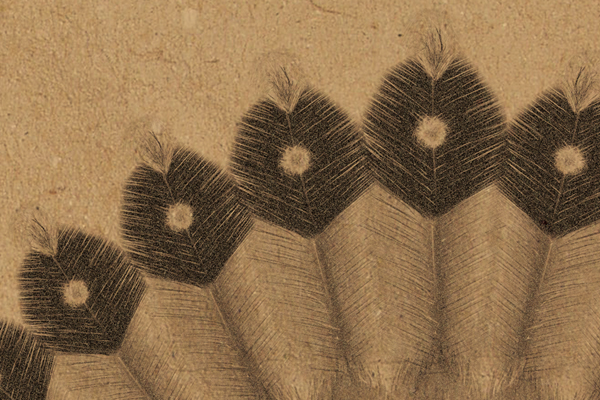 Indian Bar Illustration