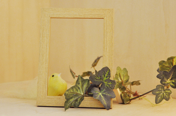 CREATIVE EXPO 2011 Photo