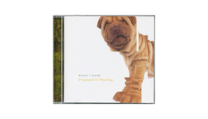 Proposal of Healing CD