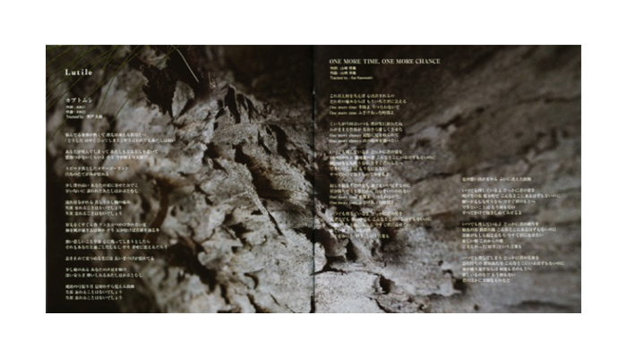 Proposal of Healing CD