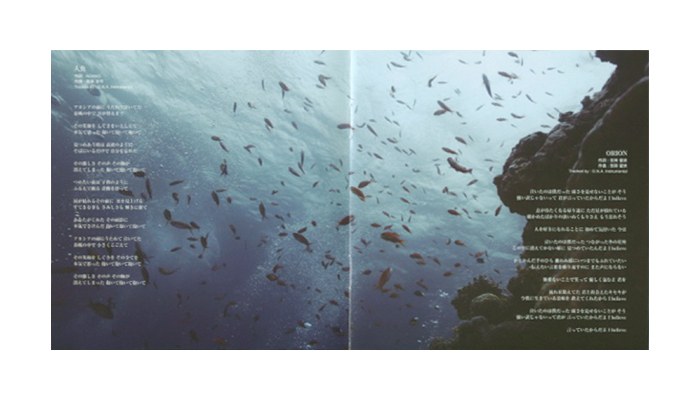 Proposal of Healing CD